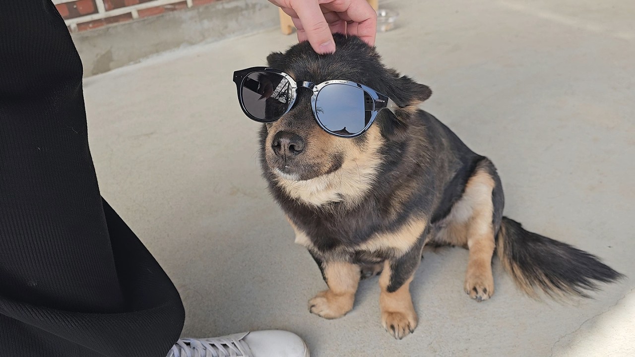 햇빛도 좋고~ 산책해서 기분도 좋고~ - comesooni_stbr 썸네일