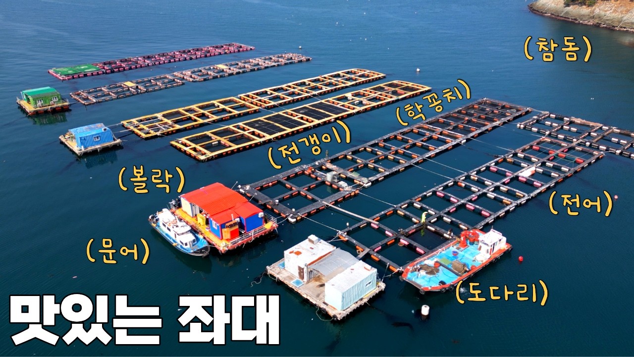  잡고 먹고 자고 먹는 1박2일 좌대 자급자족!? 여기는 굶어 죽진 않겠는데! - HIT_TV 썸네일