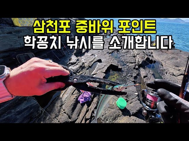 삼천포 중바위포인트 학꽁치낚시를 여러분에 소개합니다.#생활낚시 #학꽁치낚시#루어낚시 #삼천포해림호 - kimmanagerTV 썸네일