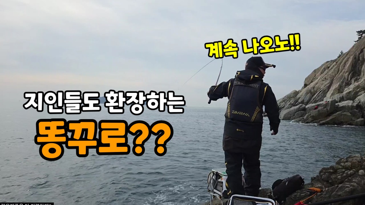 일반인들은 없어서 못먹는 물고기!! #카멜레온찌 #벵에돔낚시 #벵에돔채비 #조이부산 -  조이부산 썸네일