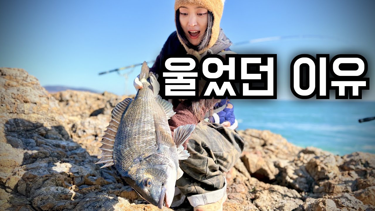 3일간 감성돔 전투낚시 전여친을 울렸던이유 (추자도 원투낚시) - 피피닥스 썸네일