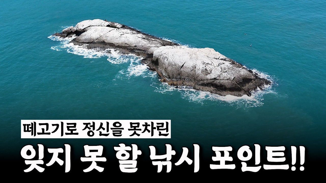 최고의 손맛, 최고의 입질, 최고의 포인트!! [박과장TV] - 박과장TV 썸네일