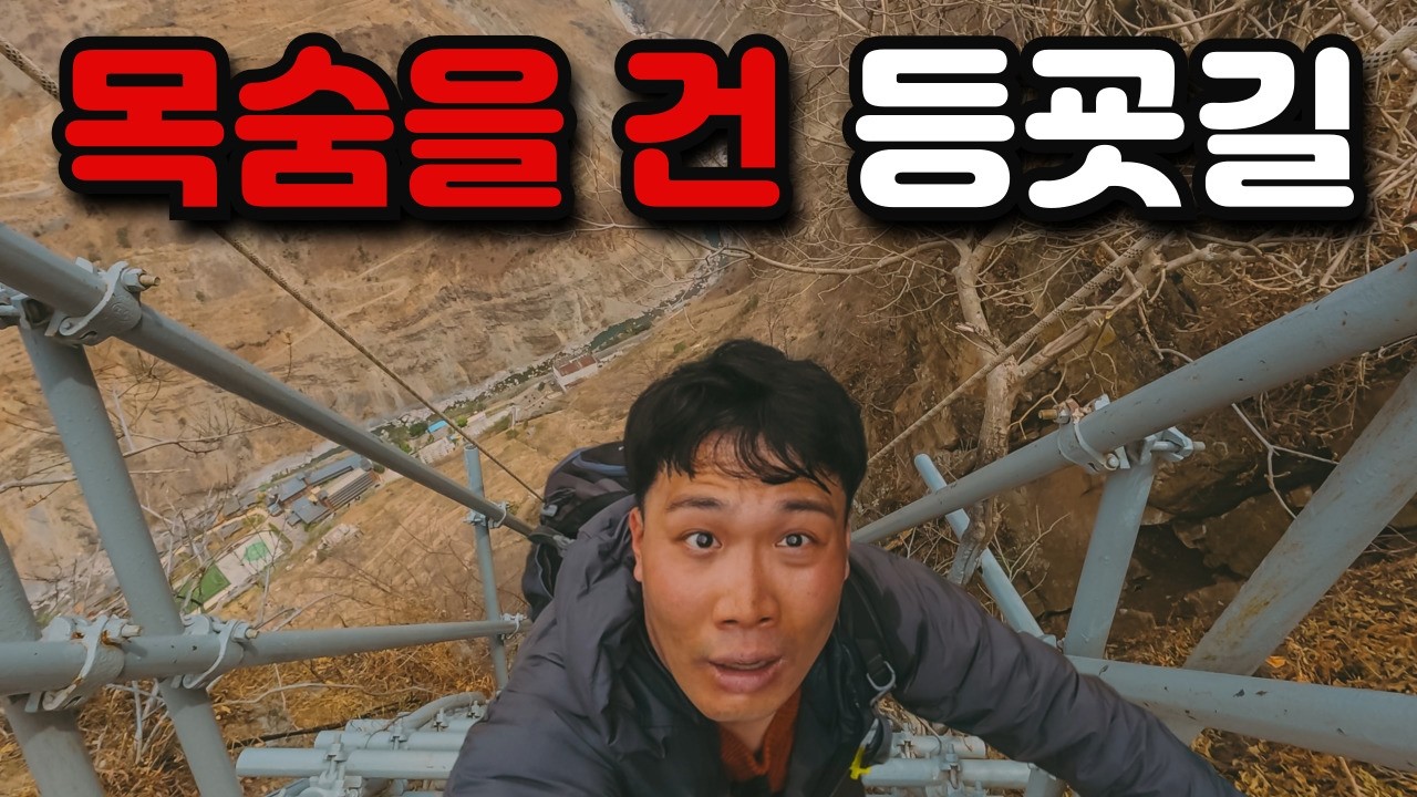  2,556개 절벽 사다리… 끝까지 올라가봤습니다 - 타이거하우스 썸네일
