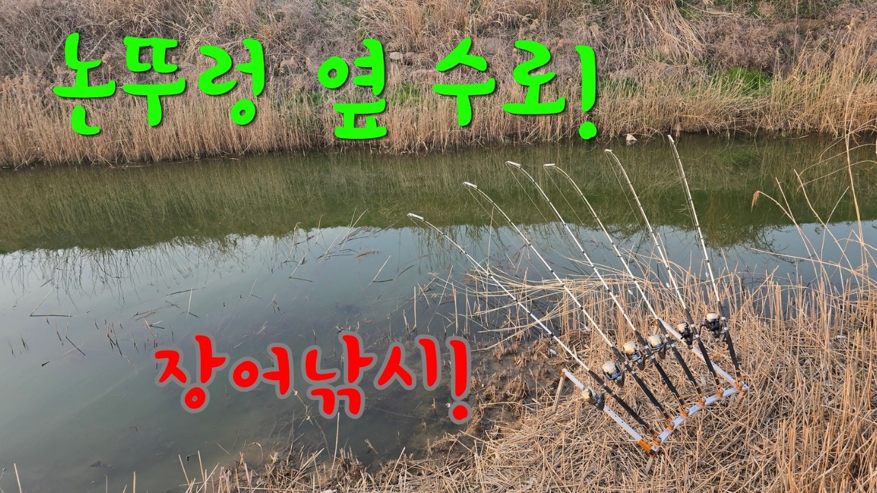 26년도 첫 장어낚시 시작합니다! 이런 곳이 핫 포인트! - longfishhunter 썸네일