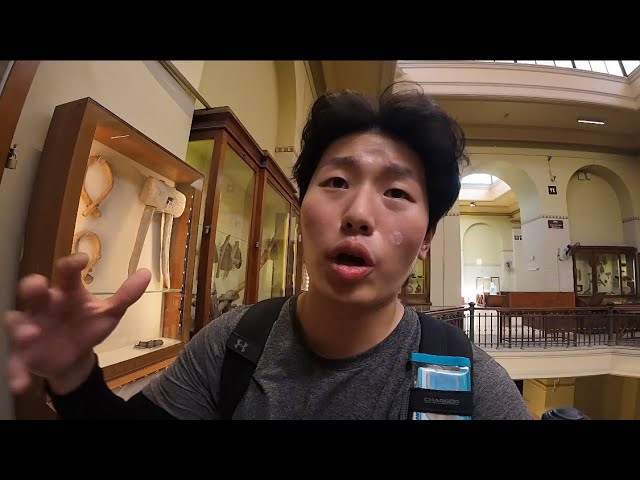  이집트 여행 시작하자마자 모든걸 잃고 죽을 뻔했습니다 - NNHWSTUDIO 썸네일
