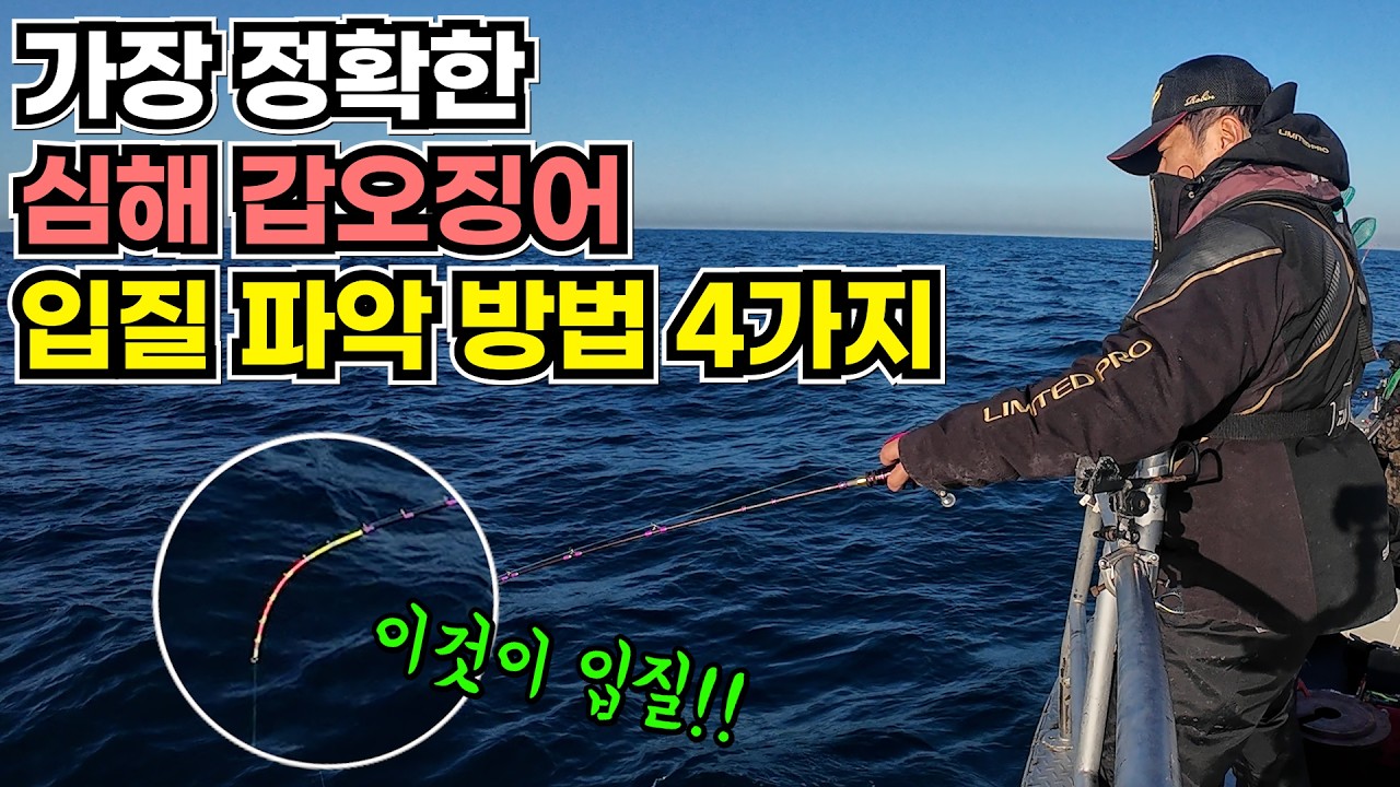  제주 심해 갑오징어 낚시 조과차이는 여기서 판가름 납니다! - 낚시왕로빈 썸네일