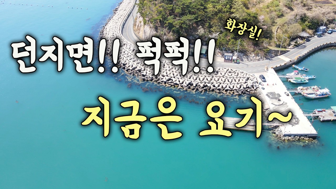  [다리tv] 던지면 퍽퍽!!! 지금 손맛 최고 방파제!!! 민장대 낚시!!! - TV-tf2pd 썸네일