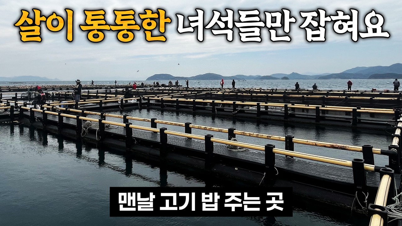 유난히 기름이 차고 맛있는 녀석들이 잡히는 곳 - fishingdinner 썸네일