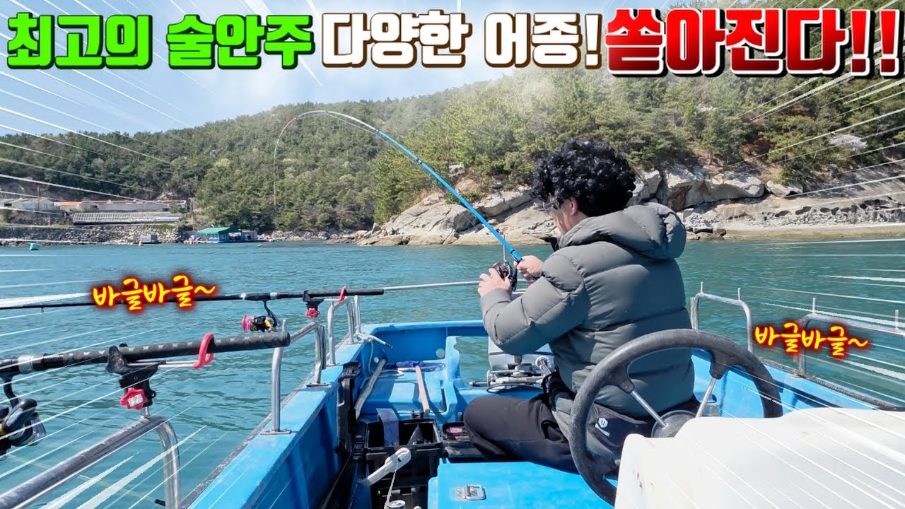 돌돔 참돔 최고급 어종이 느나느나~~ 직접잡아서 다양하게 먹어보자 - 삐꾸TV 썸네일