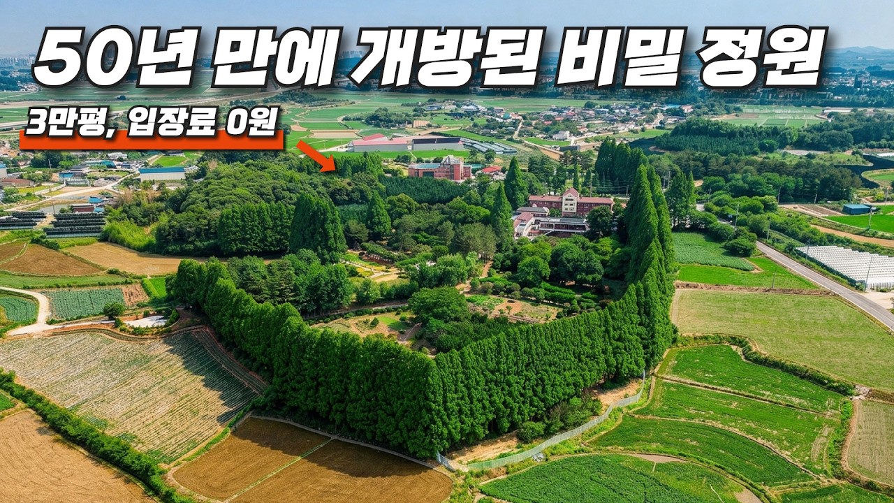 🚅 KTX 기차값 전액 환급! 인구가 줄어서 기차가 공짜인 도시, 왜 이제 알았을까요!?ㅣ당일치기 무료 기차 여행 - wandersuzie 썸네일