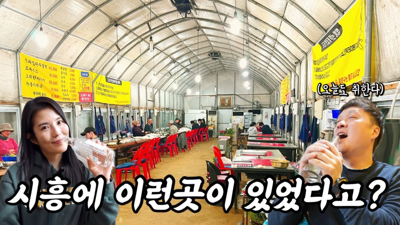 낭만 폭발하는 비닐하우스에서 먹는 가성비 끝내주는 오리고기 시흥맛집 시골오리농장 - mattsajang 썸네일