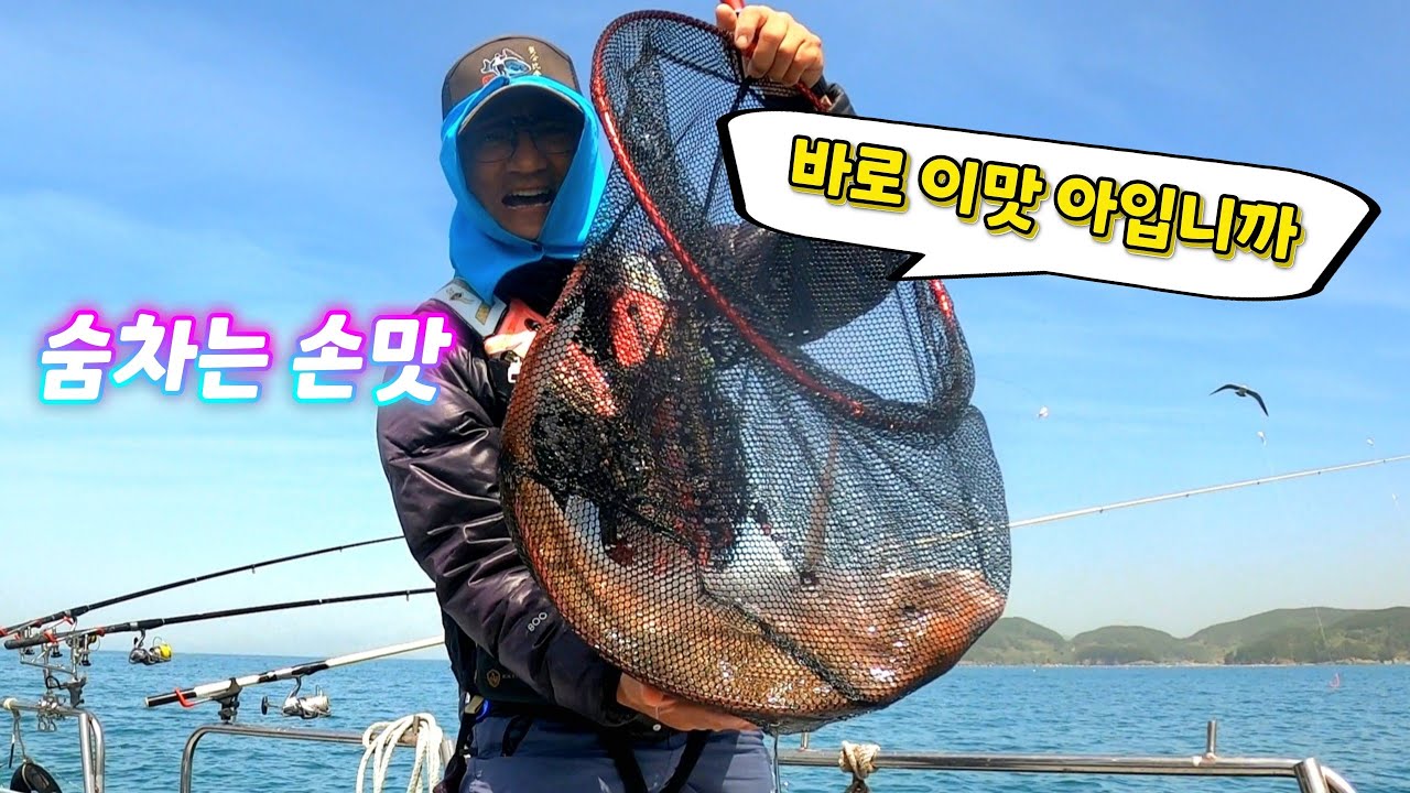 [통영로기] 478회 4~5월이면 기다려지는 내만권 대물참돔 손맛 ( 손떨리고, 숨차고, 심장도 떨리네요 ) - tyrogi 썸네일