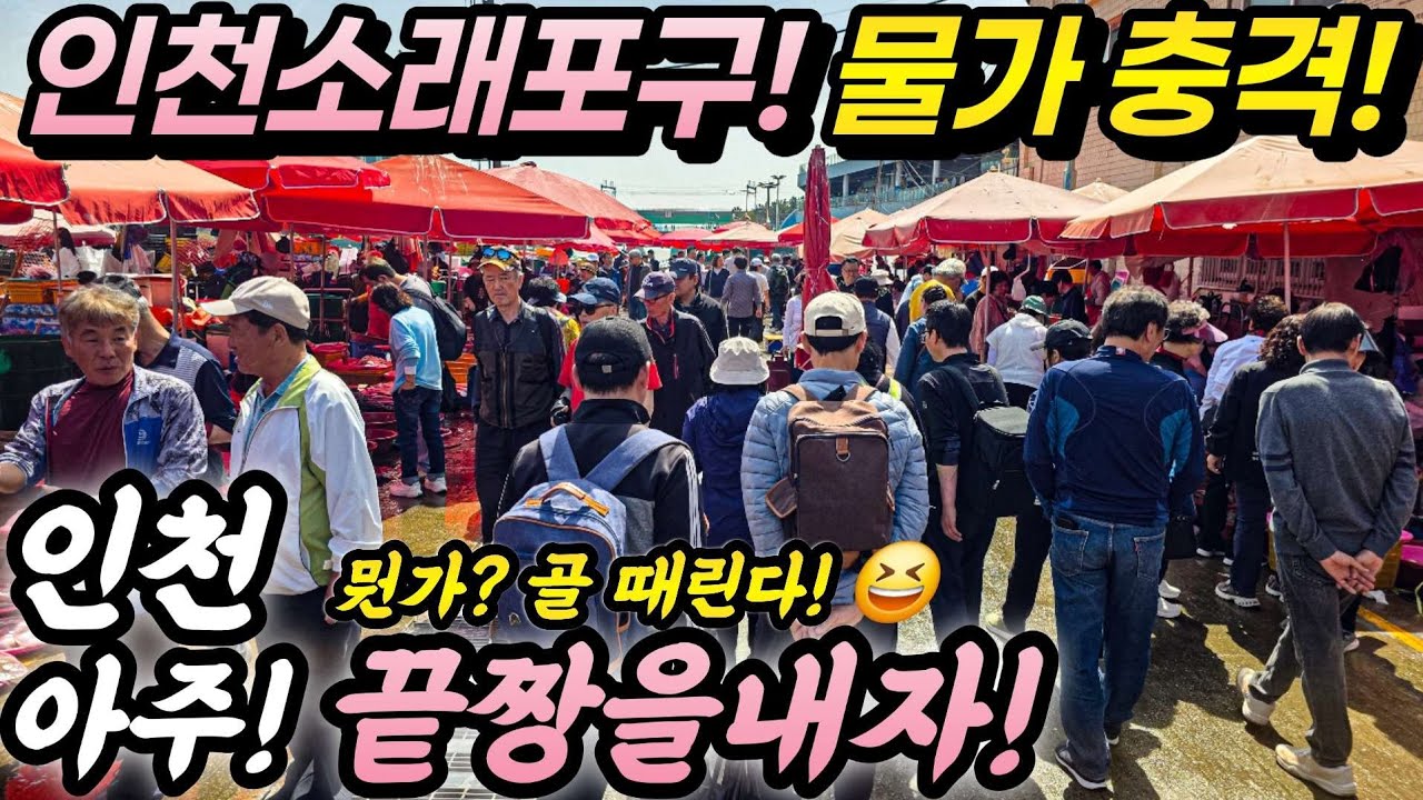 혈압주의! 충격! 끝짱내자! 인천소래포구! 이란전쟁 때문? 인천 수산물 농산물 왜이래? 뭔가? 골 때린다!  - walker.j4521 썸네일