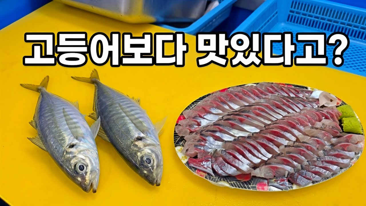  기름기는 꽉 찼는데 비린내 제로? 고소함의 끝판왕 전갱이! 회뜨기! - livefishtv 썸네일