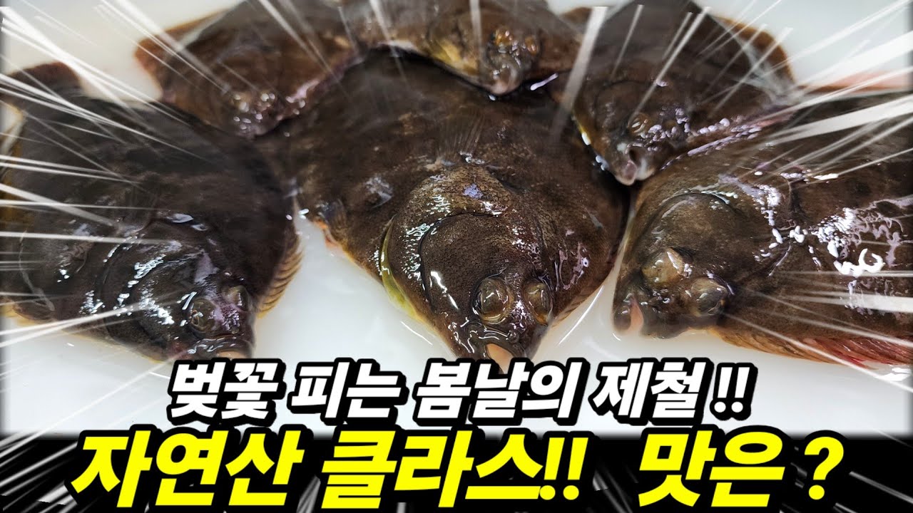 이녀석 껍질 벗기기, 세꼬시 썰기 종결 영상 !! - fish_Sashimi 썸네일