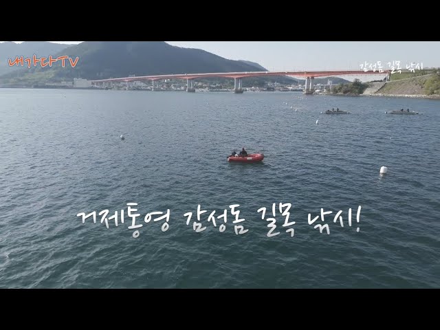 감성돔 길목 낚시!Black sea bream fishing in the path! - 내가다티비 썸네일