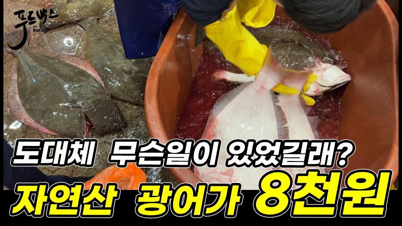 도대체 무슨일이 있었길래 자연산 광어를 8천원에 팔고 있는지.. 자연산 어종 동시 폭락하는 상황... 노량진수산시장 20260423 - FOODBOX 썸네일
