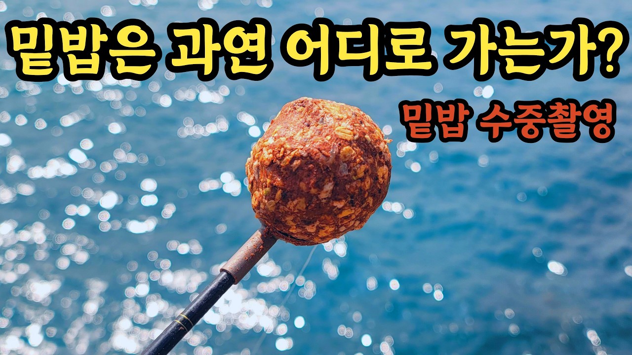 초봄 감성돔 낚시 - 낚놈 썸네일