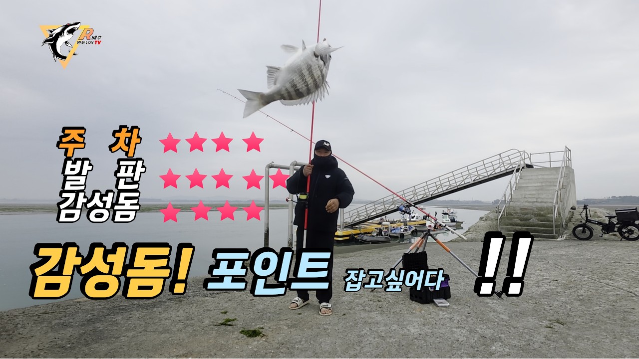 원투낚시 감성돔 포인트 여기 알고 왔어 ? - 알배추원투낚시tv 썸네일