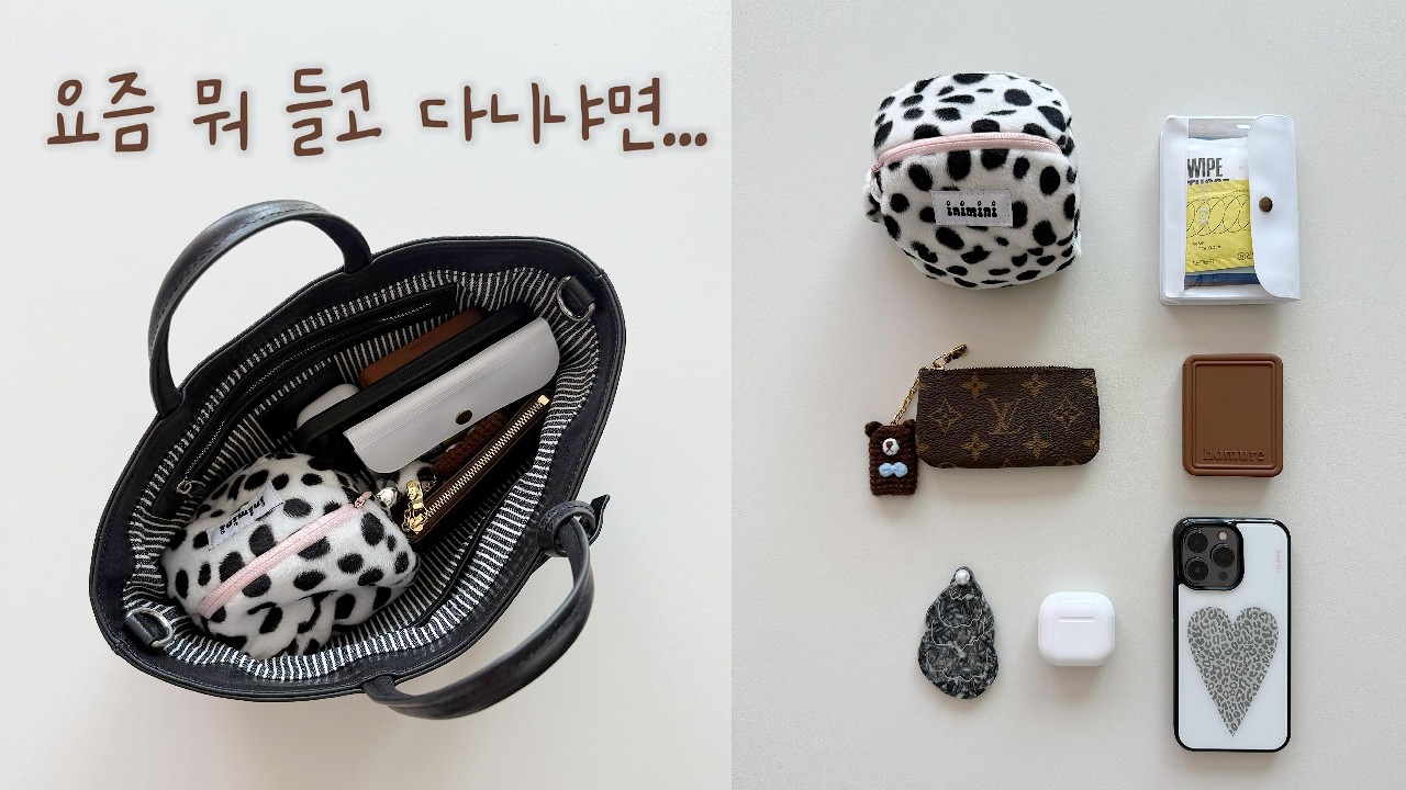 요즘 뭐 들고 다니냐면...(미니 꿀템 대방출)👜 - reioflight1002 썸네일