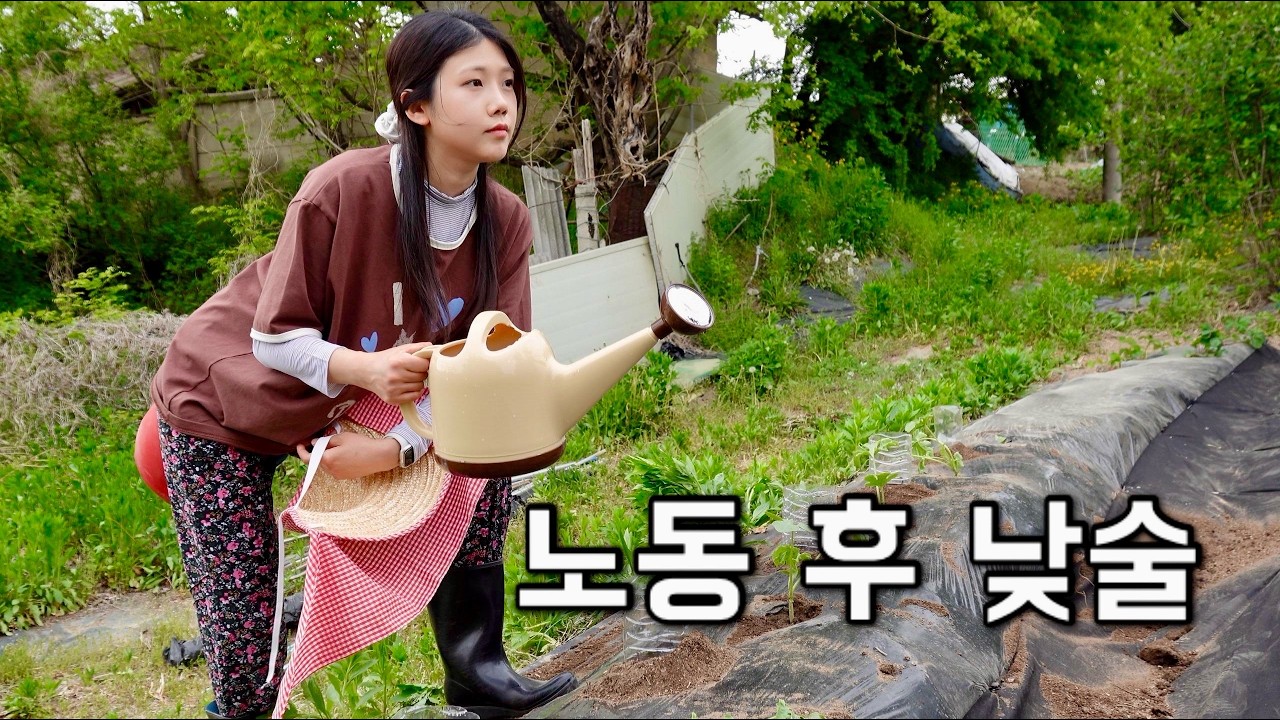 나홀로 시골살이 | 수박 심고 지지대 박는 날 🔨 결국 마루에서 냉삼에 소맥! - myammitime 썸네일