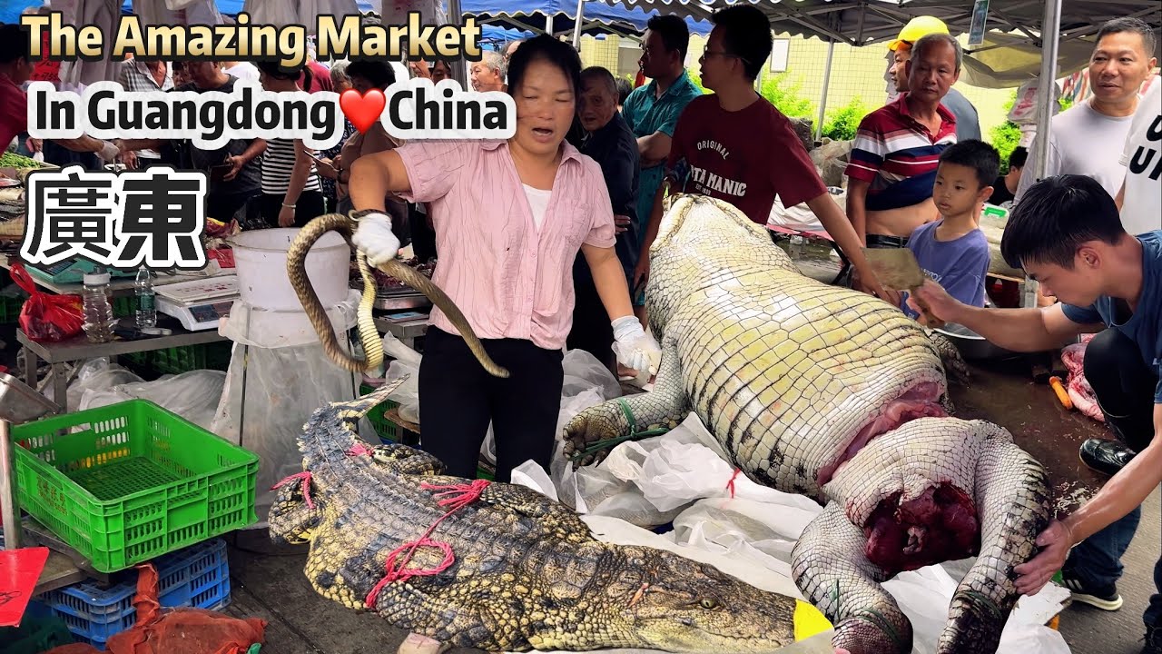 The amazing market in China中國廣東獨有，罕見大集市，現場宰殺鱷魚被搶購，女子徒手抓眼鏡蛇被纏繞.剝皮，蟑螂，蛆蟲油炸，蠍子煲湯，生猛烏龜，燒豬，烤乳鴿，活物奇珍 - aoaofoodtravel 썸네일