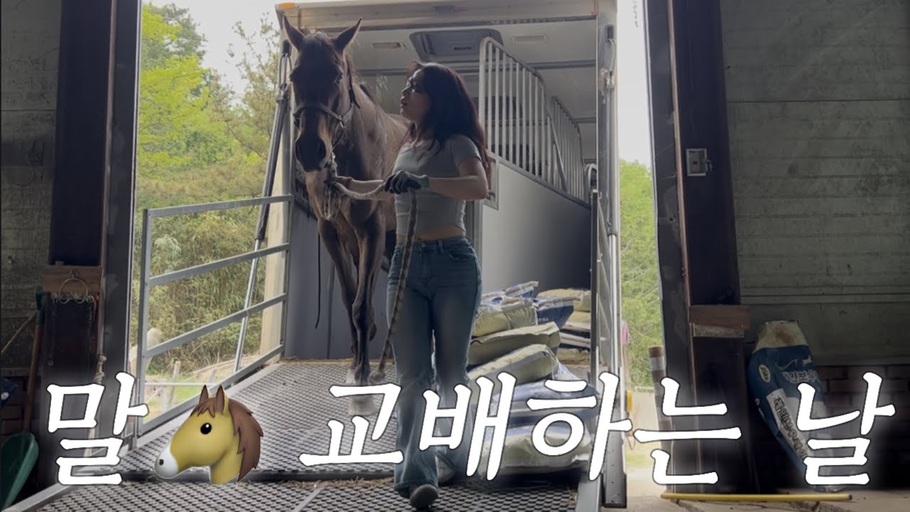  말🐴 교배하러 갑니다 - wildfieldcoffee 썸네일