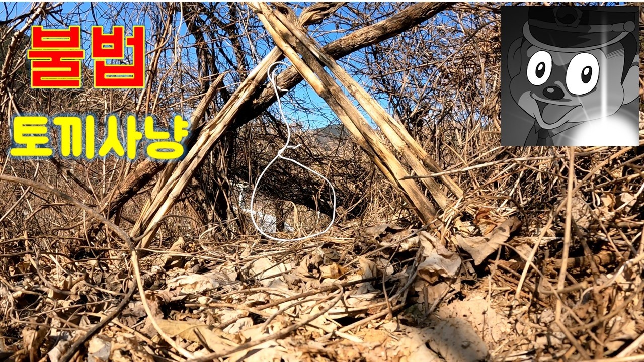 옛날 시골에서는 불법 덫으로 산토끼를 잡아먹었드랬죠 - 실전생활낚시 썸네일