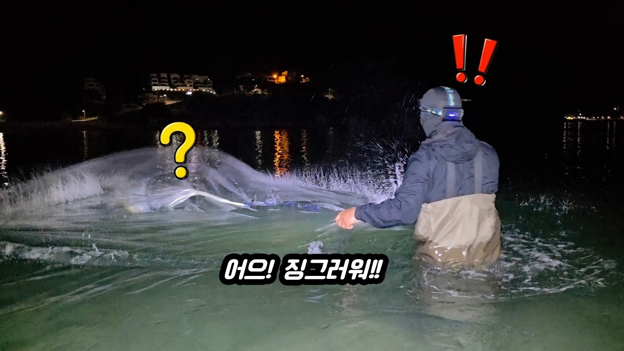 대한민국 최남단 바다에 투망을 던지면 뭐가 잡힐까 과연 결과는?! - 자산먹보 썸네일