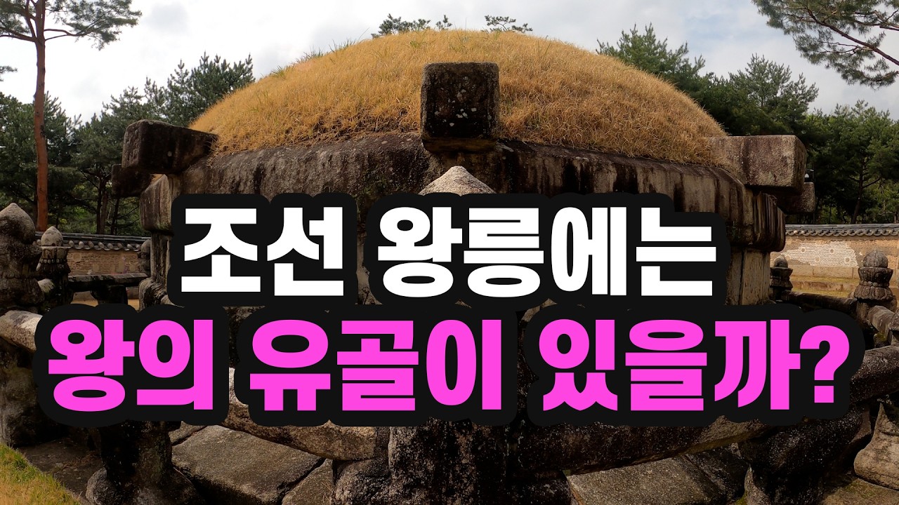 조선 왕릉이 비밀의 문을 연다면... - JooPD_HistoryLand 썸네일