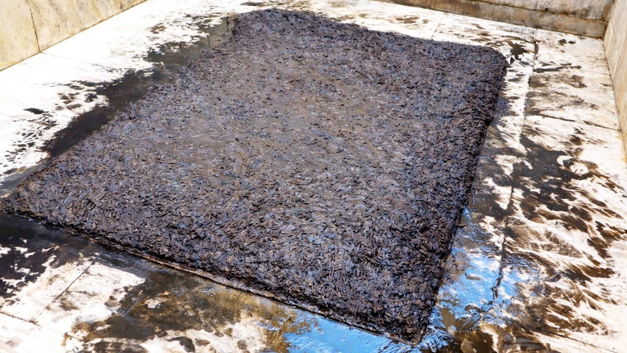 EXTREME Rug Cleaning: Removing Pitch Black Slime from a Destroyed Carpet! (Satisfying ASMR) 썸네일