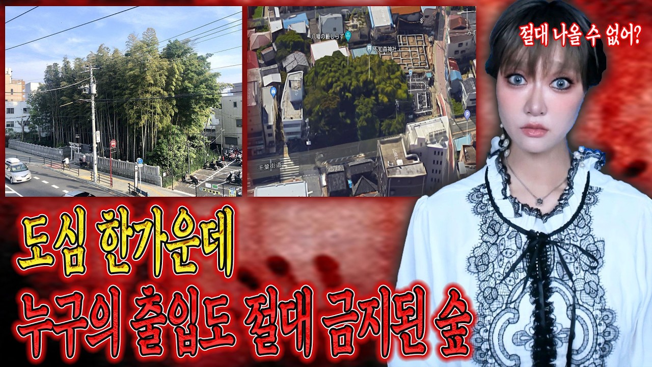 일본에서 수백년동안 이어진 전설 '한번 발을 들이면 절대 나올 수 없다' 출입 금지구역 '야와타노 야부시라즈' │케이짱의 기묘한 이야기│ - 케이짱-Kzzang 썸네일
