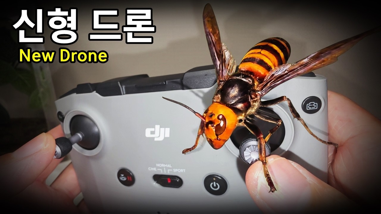 이번엔 드론이다! 초대왕 장수말벌을 날리면 생기는 일! - pleasebee 썸네일