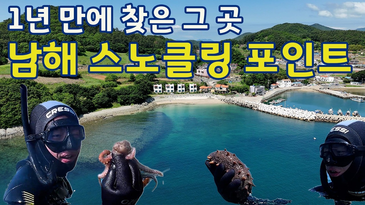1년 만에 다시 찾은 남해 한적한 스노클링 포인트 금포 마을 해수욕장 스노클링 문어 뿔소라 해삼 해루질 남해여행 스노클링 포인트 추천 - fortybongchon 썸네일
