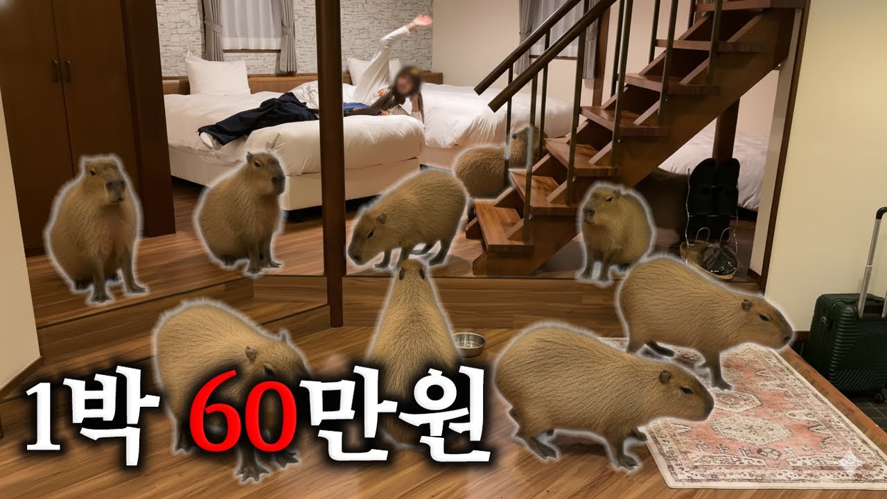 카피바라 20마리한테 집 뺏긴 날 - Miyuu_japan22 썸네일