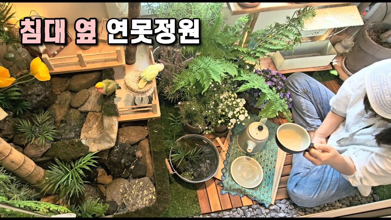 다이소로 만든 연못정원 🌿 이렇게 관리하고 있어요｜반려조 이새 루미와의 일상🐦 - susu_h 썸네일
