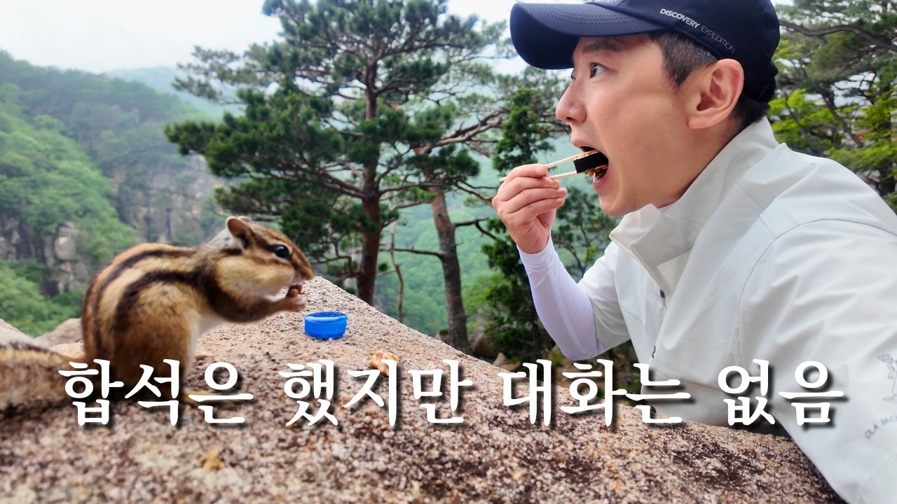 산에서 만난 작은 친구와의 점심 🐿️ | 두타산 베틀바위, 마천루 코스 - holoholo_log 썸네일