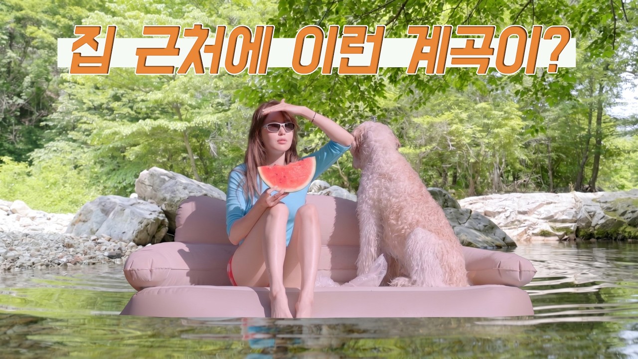 데이터도 안 터지는 산골 오지 계곡… 이제야 즐기는 황토방 귀촌생활 🏡 시골 집 셀프 인테리어 시작 - 밍동MDD 썸네일