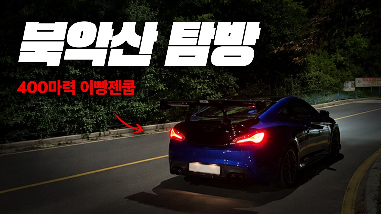 북악산 스카이웨이에 서식하는 씩씩이들을 만나고 왔습니다. - MistaBack 썸네일