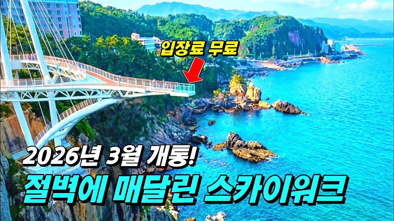 남들 다 아는 강원도 지겨우시죠? 올해 3월에 새로 생긴 동해안 신상 히든스팟 - 자유와산 썸네일