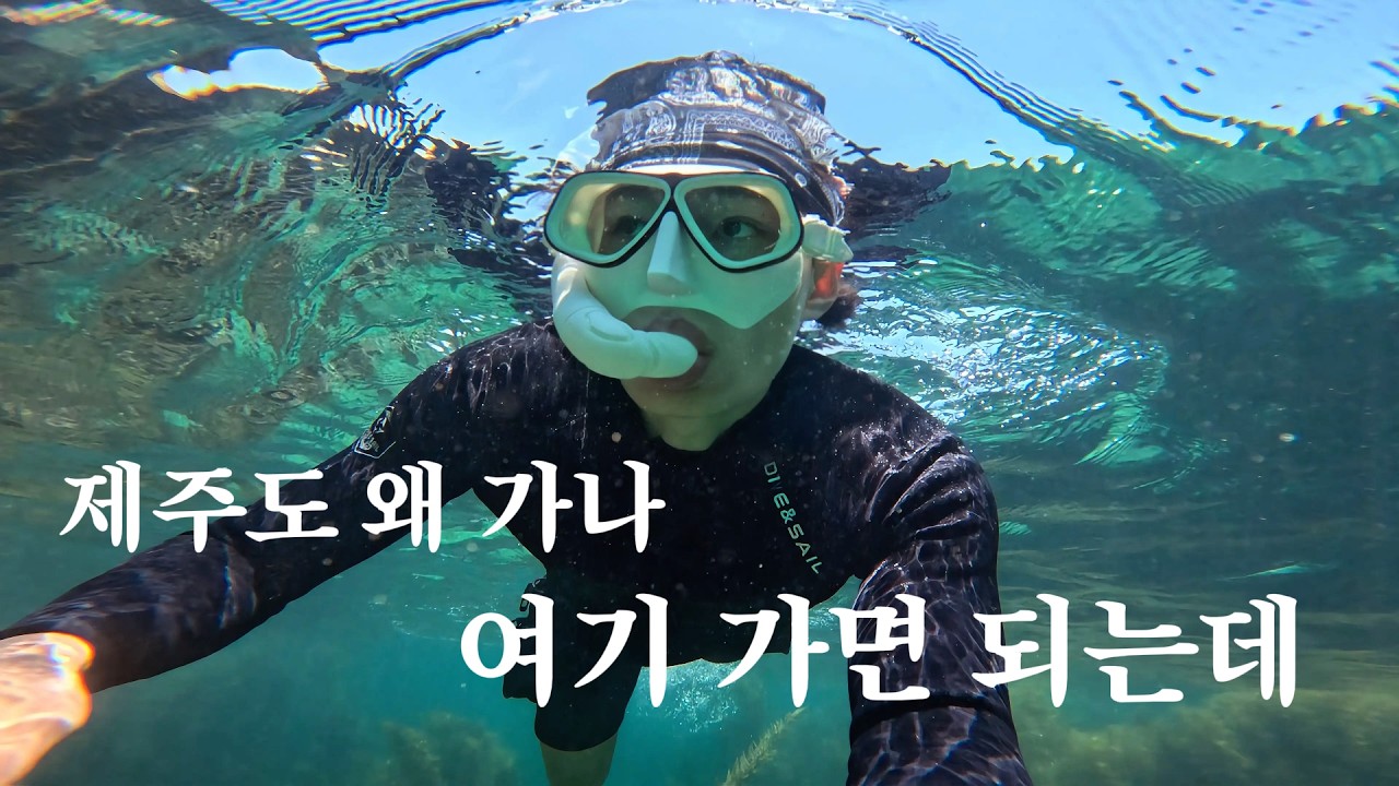 에메랄드 바다? 난 제주도 대신 여기 가 | 강원도 양양 역대급 스노클링 포인트 - travelingjinil 썸네일